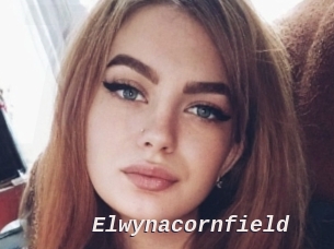 Elwynacornfield