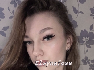 Elwynafoss