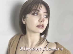 Elwynagallamore