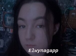 Elwynagapp