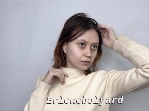 Erlenebolyard