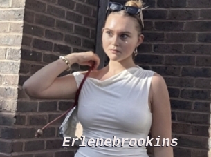 Erlenebrookins
