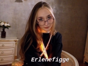 Erlenefigge
