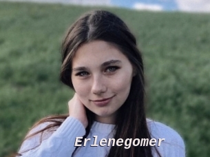 Erlenegomer
