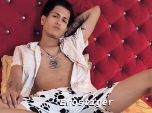 Erostiger