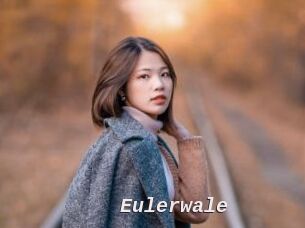 Eulerwale