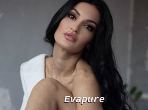 Evapure