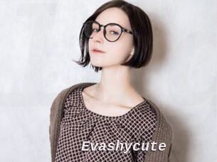 evashycute Live Camgirls Sex