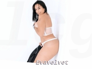 Evavelvet