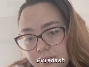 Eviedash