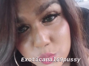 Exoticanal69pussy