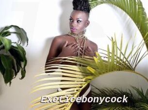 Exoticebonycock
