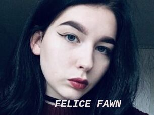 FELICE_FAWN