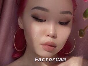 FactorCam