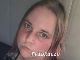 Falbkatze