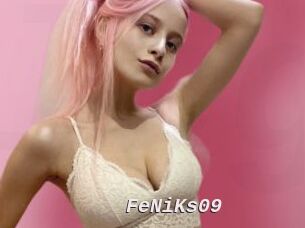 FeNiKs09