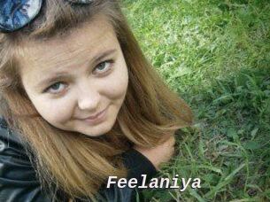 Feelaniya