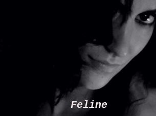 Feline