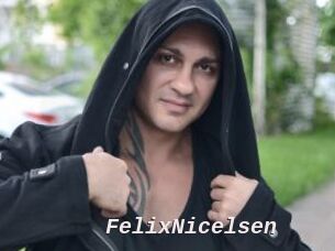 FelixNicelsen