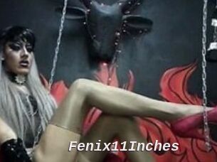 Fenix11Inches