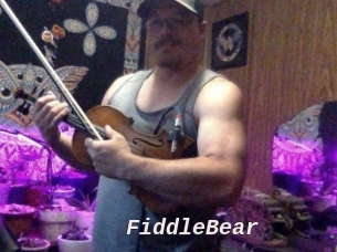 FiddleBear