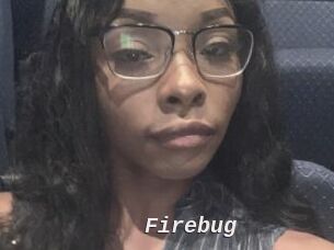 Firebug