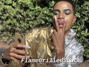 FlameGrilledSpice