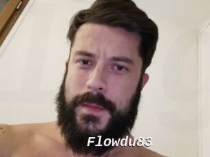 Flowdu83
