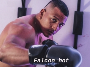 Falcon_hot