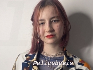 Felicebevis