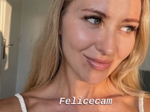 Felicecam