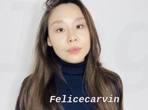 Felicecarvin