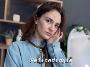 Felicediggle