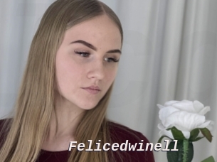 Felicedwinell