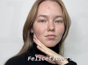 Feliceflowers