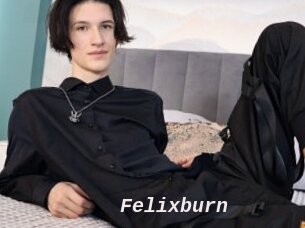 Felixburn