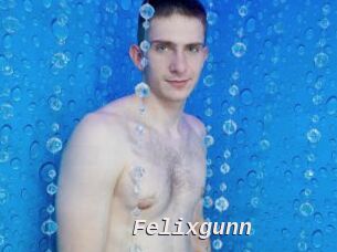 Felixgunn