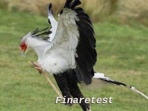 Finaretest