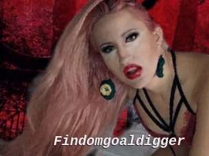 Findomgoaldigger