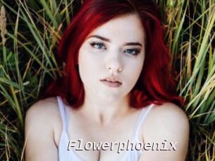 Flowerphoenix