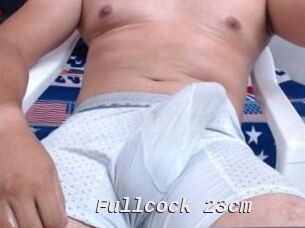 Fullcock_23cm