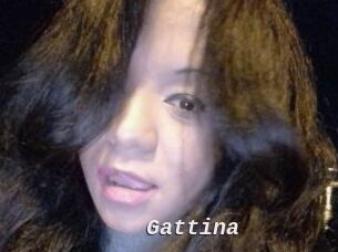 Gattina