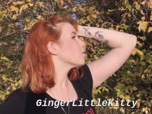 GingerLittleKitty