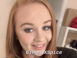 GingerXSpice