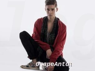 GrapeAnton
