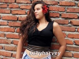 Gabyharvey