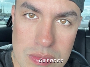 Gatoccc