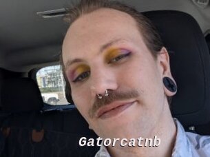 Gatorcatnb