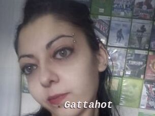 Gattahot