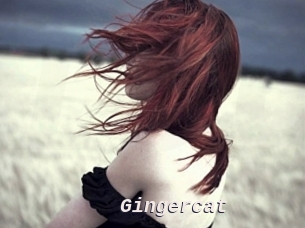 Gingercat
